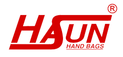 Giới thiệu về sản phẩm Hasun