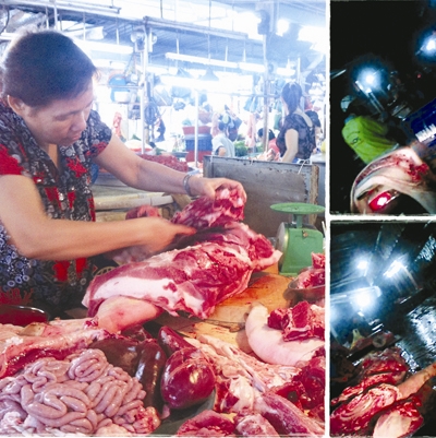 Đường đi của thịt bẩn (Kỳ 1): Trộn heo bệnh với heo lành