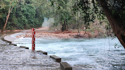 Hồ vực tra